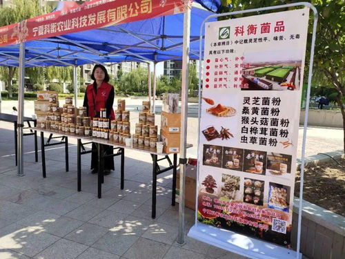 銀川市巾幗家政服務(wù)暨巾幗助力扶貧展示進(jìn)社區(qū)活動(dòng)正式啟動(dòng)